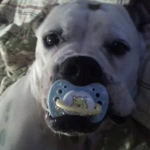 Meet your Posher, Julie